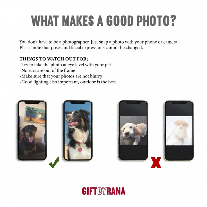 Couple Blanket With Portrait and Names, Personalized Photo Throw, Custom Valentine s Day Gift, Gift For Her, Gift For Him, Wedding Gift